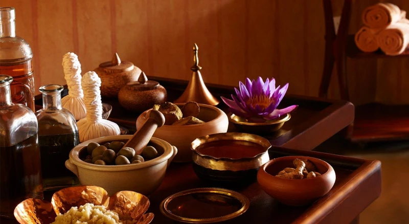 Wellness Tarif